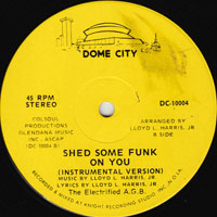 The Electrified A.G.B. (All Girls Band) ‎– Shed Some Funk On You
