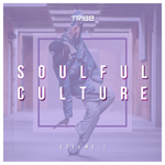 Soulful Culture vol 1